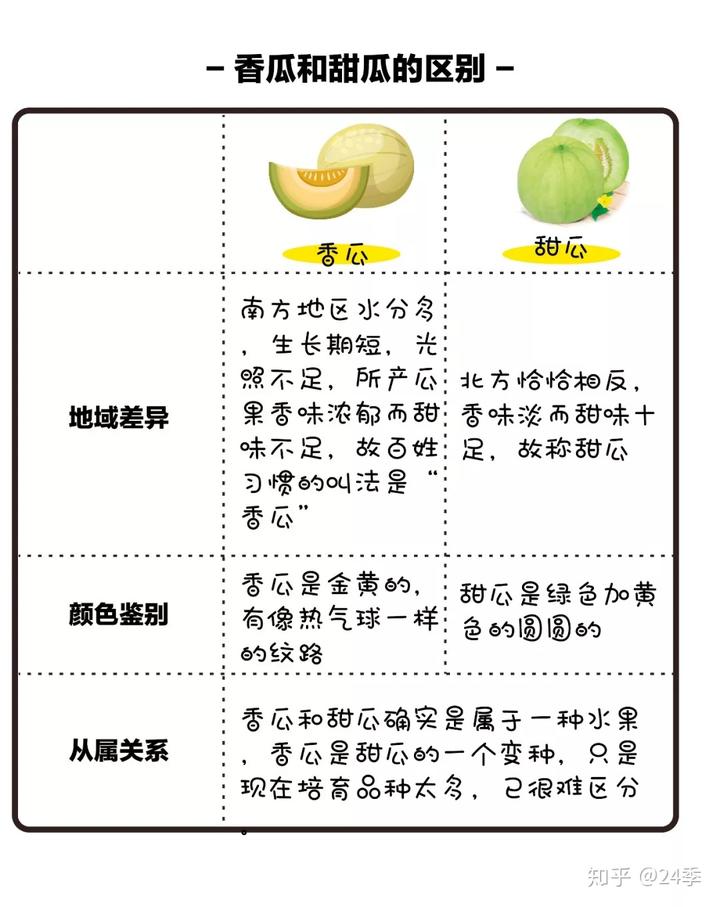 惠州种植香瓜致富_香瓜种植基地_广东香瓜种植技术