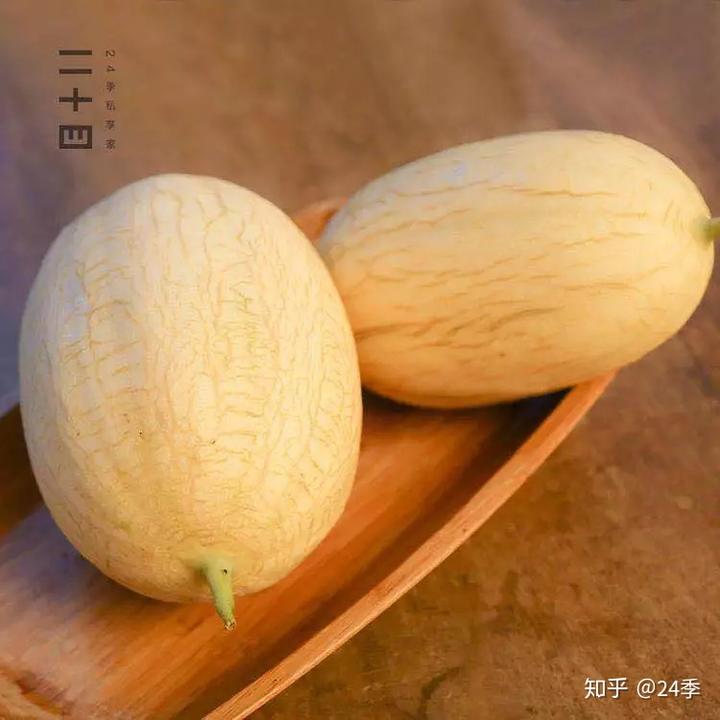 广东香瓜种植技术_香瓜种植基地_惠州种植香瓜致富