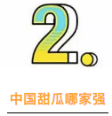 香瓜种植基地_惠州种植香瓜致富_广东香瓜种植技术
