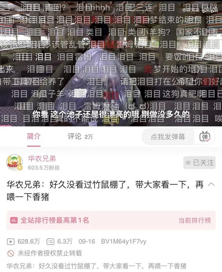 养竹鼠频道致富经播放_致富经养竹鼠视频完整_致富频道播放养竹鼠视频