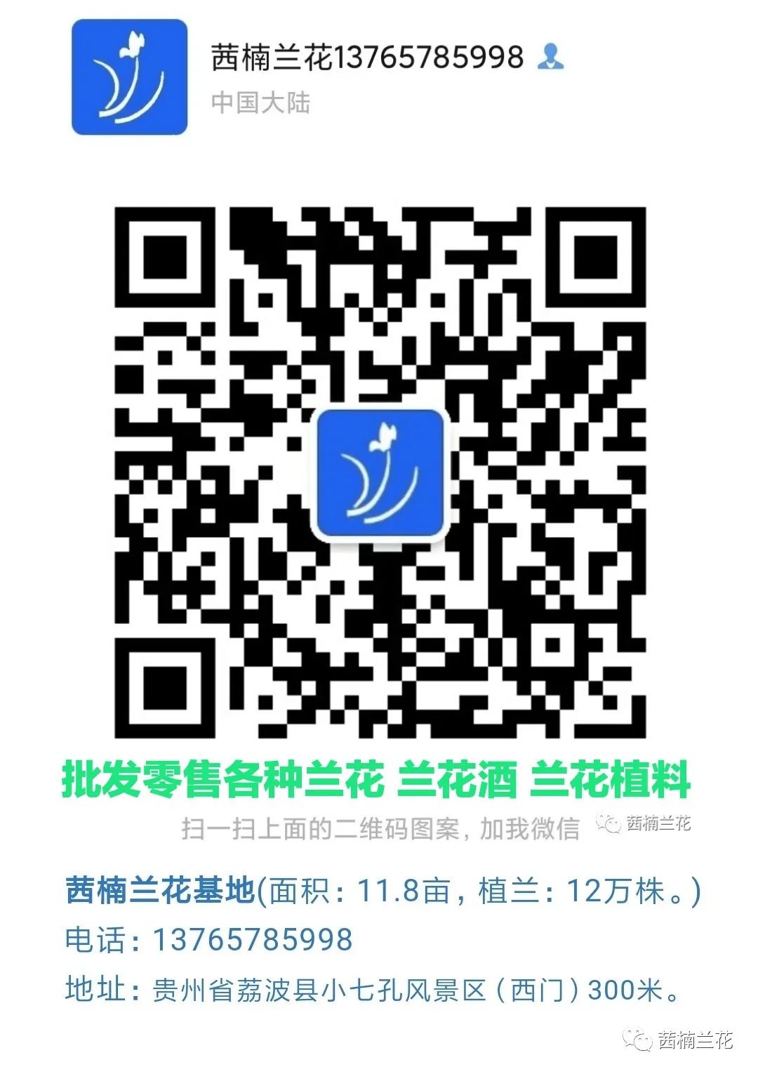 兰花养殖技术视频_兰花养殖_福建兰花养殖技术
