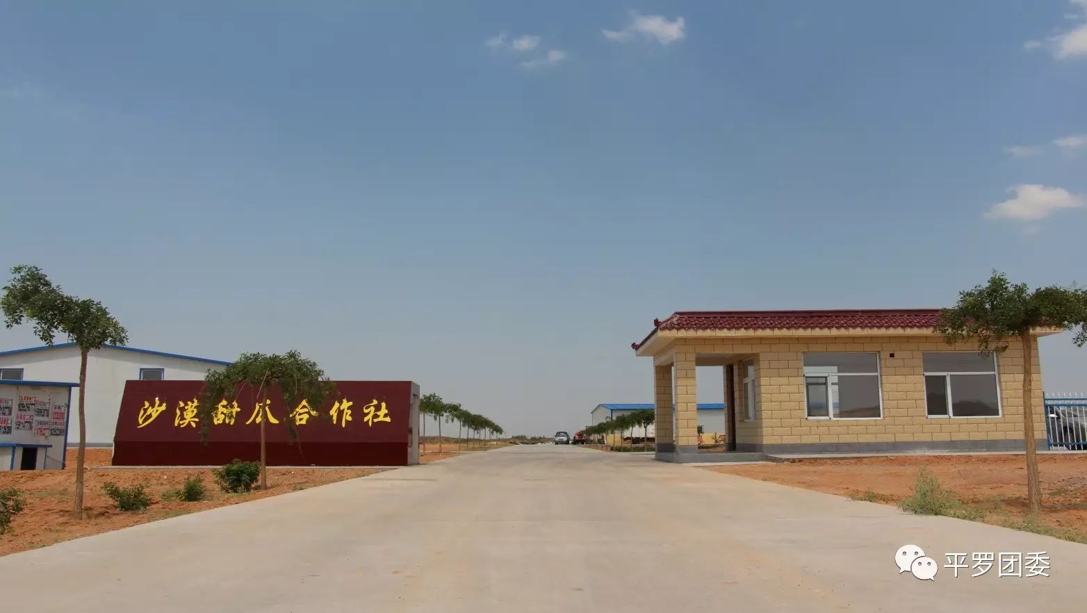 珍禽养殖实用技术_养殖珍禽前景怎么样_珍禽养殖致富方案