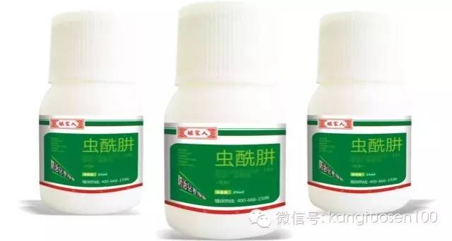 如何播种葱种子_分葱种植技术和播种_种葱种子的方法和步骤