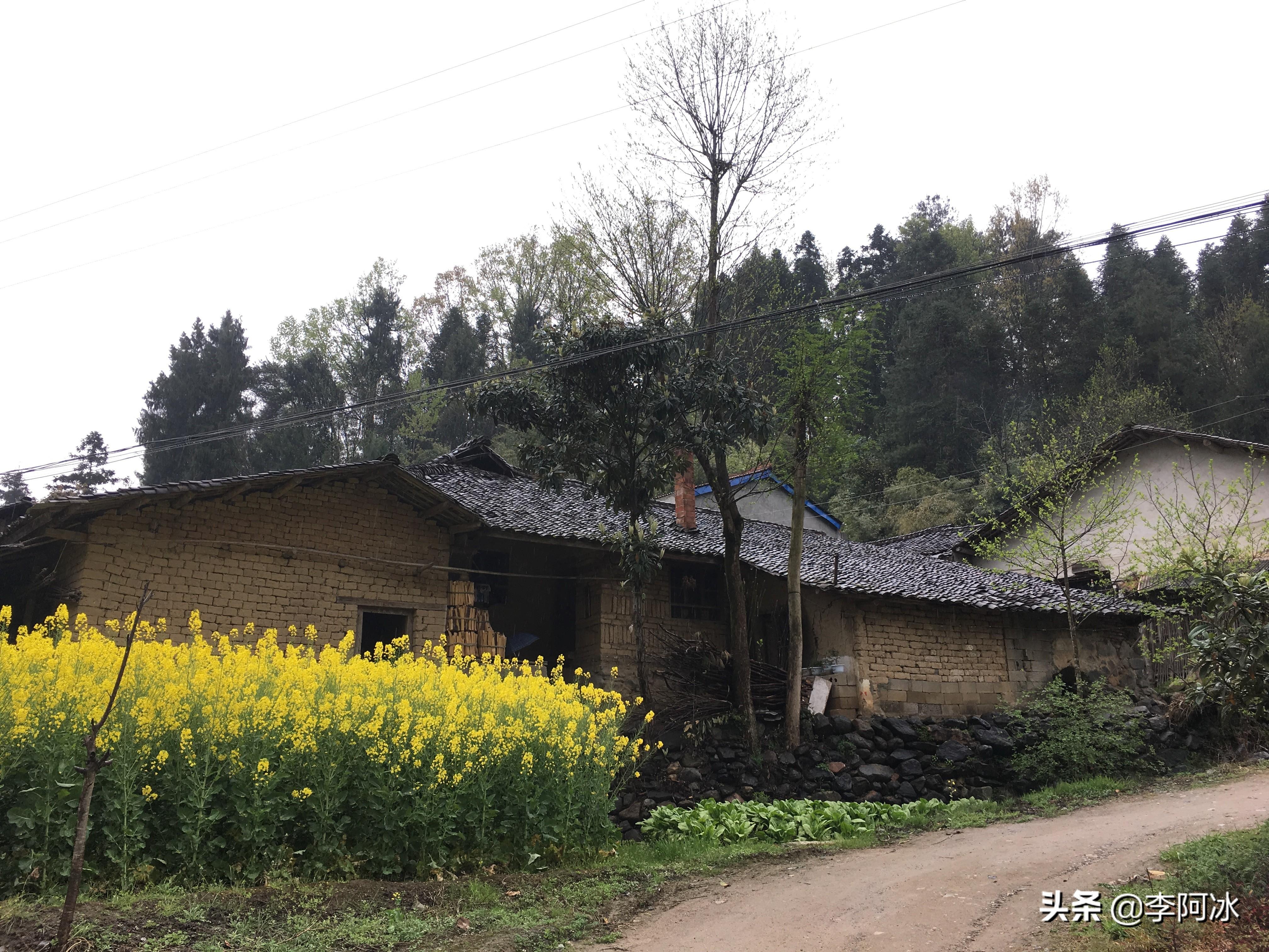 探访茶农贫困户，屋内有蛇不敢入，如何才能防止蛇进屋内？