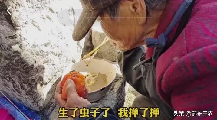 87岁老人种植致富_种植致富案例_种地老人