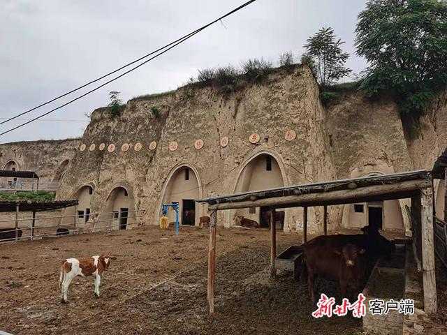 致富养殖好项目大全_养殖致富快车图片_致富养殖快车图片大全