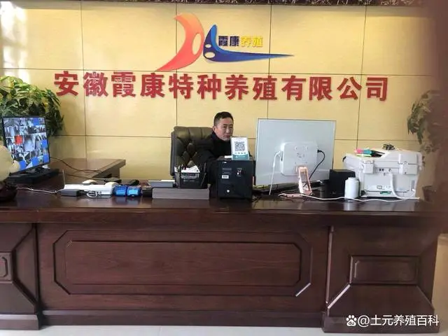 人工土洞养殖_土元养殖户_人工土元养殖技术