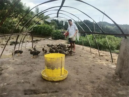 萍乡上埠镇：“养殖大户”的脱贫致富路