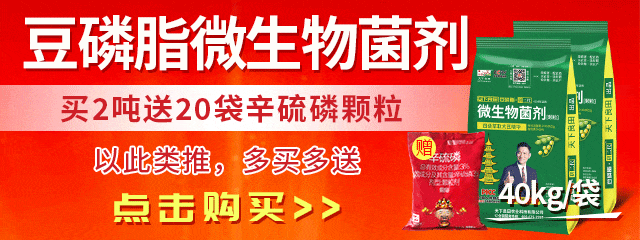 视频生姜种植技术大全_种植生姜的技术视频_视频生姜种植技术教程