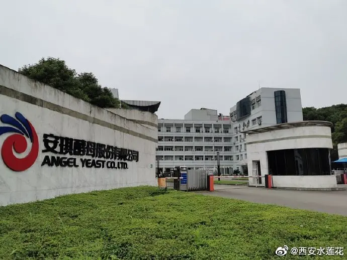 农村致富项目种植业_致富种植农林的意义_农林种植致富