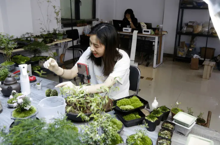 农村致富项目种植业_农业致富种植项目_农林种植致富