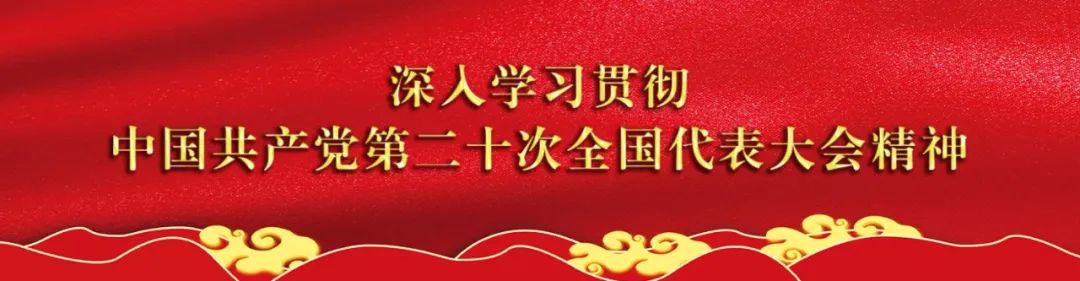 一公斤卖二百 屏边多措并举念好枇杷“致富经”