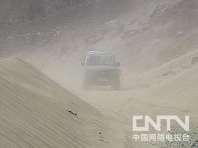 致富果树种植方法_农村种植果树致富好项目_果树种植致富经