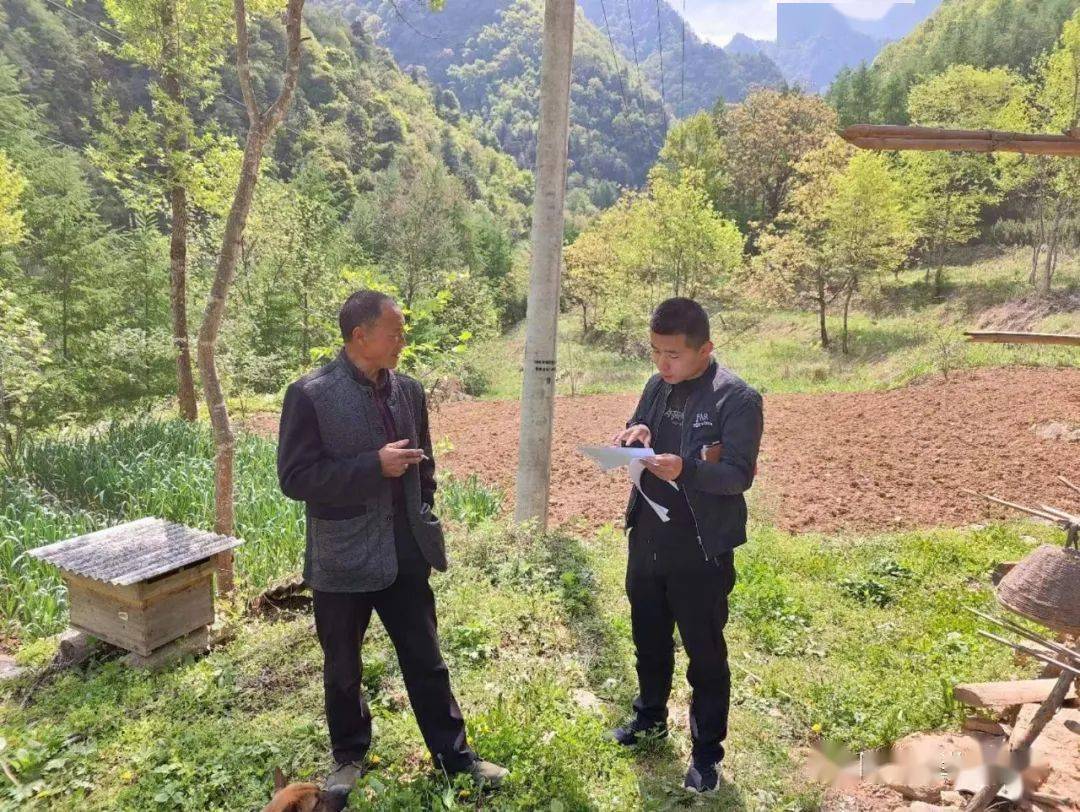 致富之路养殖蛋鸡_致富经养殖鸡视频_致富经蛋鸡养殖视频