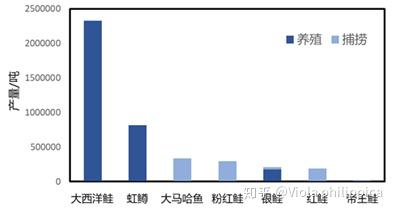 高白鲑鱼致富经_致富经养桂鱼_致富经鳜鱼
