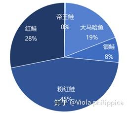高白鲑鱼致富经_致富经鳜鱼_致富经养桂鱼