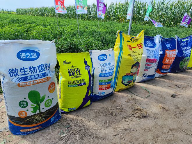 湖北辣椒基地_湖北辣椒基地批发价格_湖北种植辣椒致富