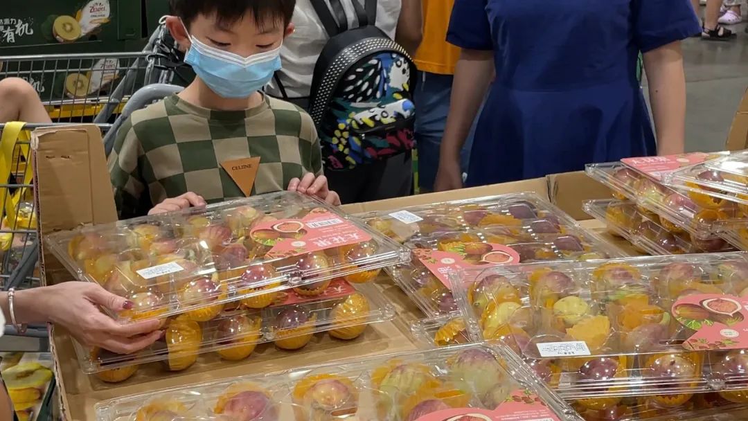 种植致富农村项目大全_街道种植致富果_致富经种果树