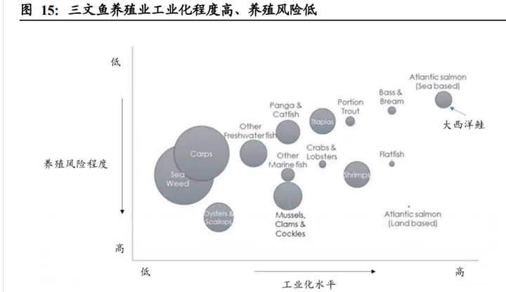 致富经养鳜鱼_高白鲑鱼致富经_致富经养桂鱼