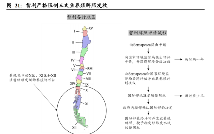致富经养鳜鱼_致富经养桂鱼_高白鲑鱼致富经