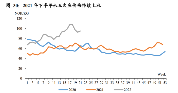 致富经养桂鱼_高白鲑鱼致富经_致富经养鳜鱼