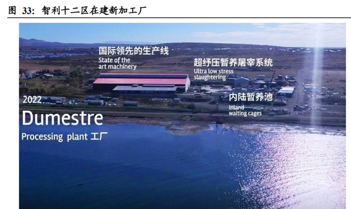致富经养桂鱼_高白鲑鱼致富经_致富经养鳜鱼