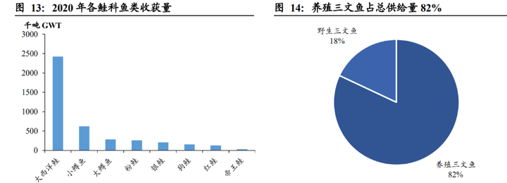 致富经养鳜鱼_高白鲑鱼致富经_致富经养桂鱼
