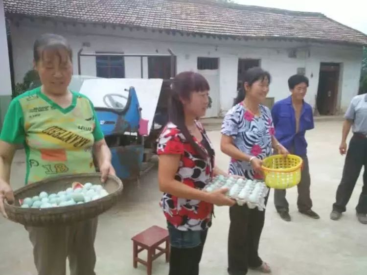 致富养殖项目_致富路上的特色养殖业_绿色养殖致富案例