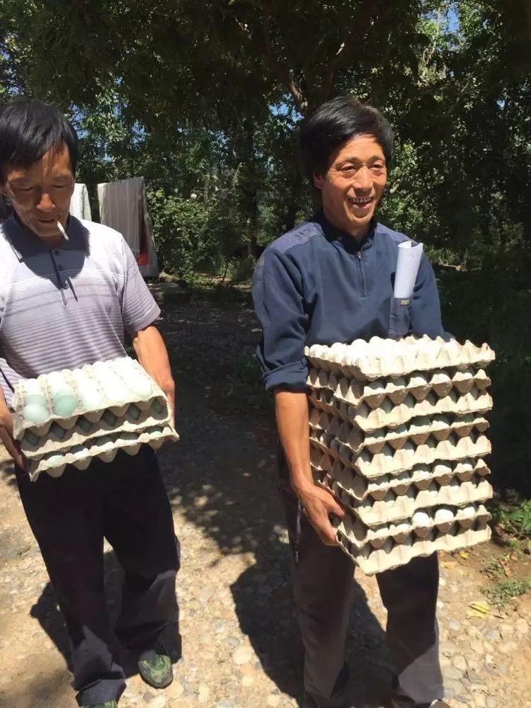 绿色养殖致富案例_致富养殖项目_致富路上的特色养殖业