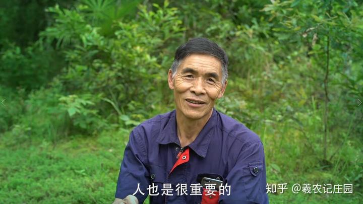 银耳养殖技术_养殖银耳技术视频_养殖银耳技术培训