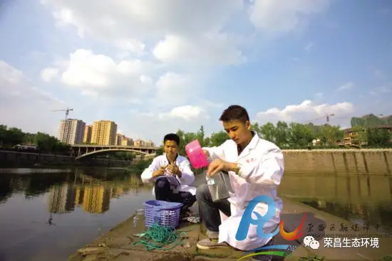 致富经枇杷园_青浦联怡枇杷园_青浦枇杷园论坛