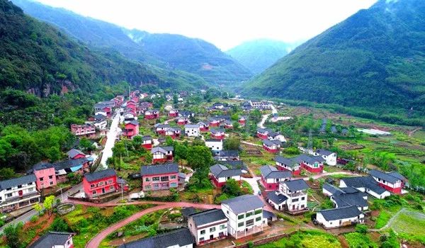 赤水乌鸡养殖基地_赤水养殖业_赤水养殖鸡致富