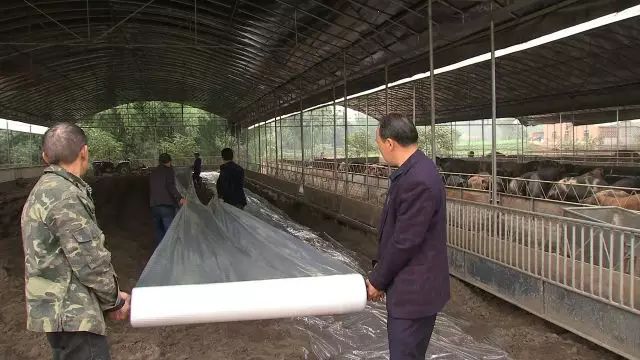 致富经李海林_致富经李海林用沙子养猪_致富经李海林视频