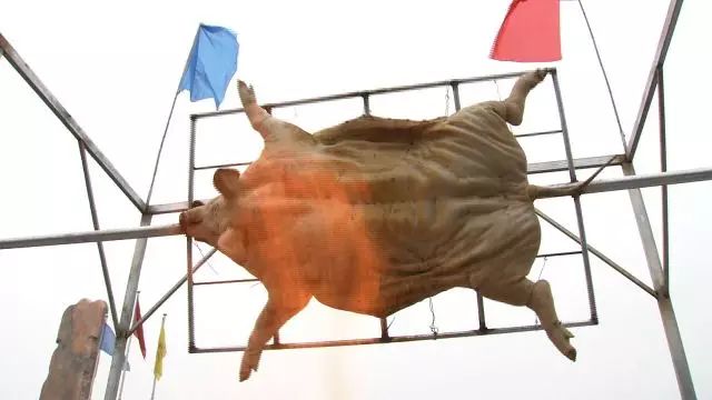 致富经李海林_致富经李海林用沙子养猪_致富经李海林视频