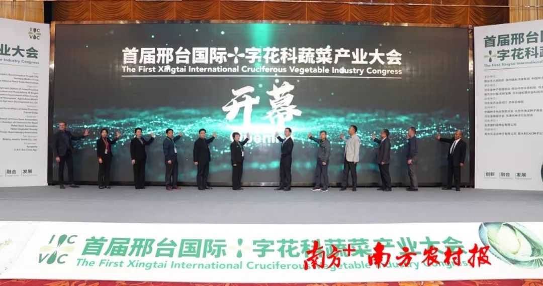 致富经阳海林_致富经李海林用沙子养猪_致富经李海林视频
