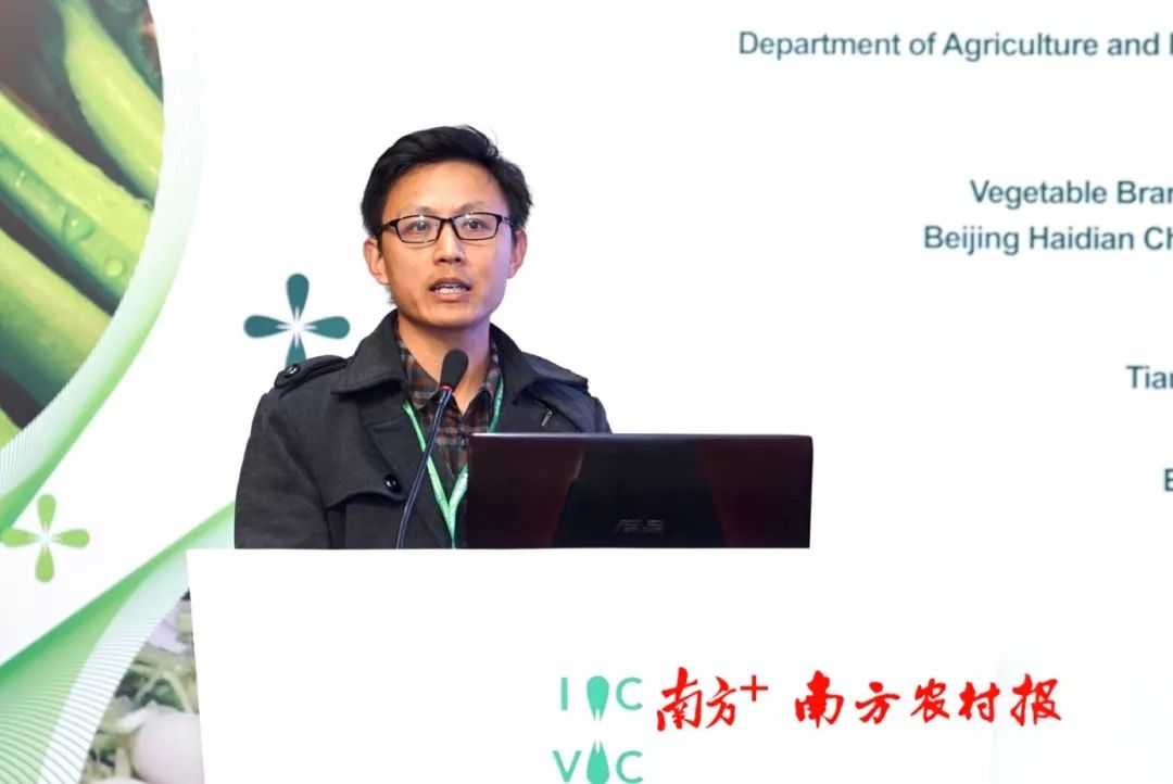 致富经李海林视频_致富经阳海林_致富经李海林用沙子养猪