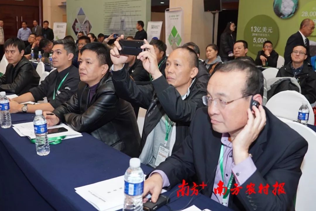 致富经阳海林_致富经李海林用沙子养猪_致富经李海林视频