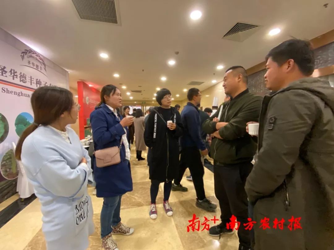 致富经李海林视频_致富经阳海林_致富经李海林用沙子养猪