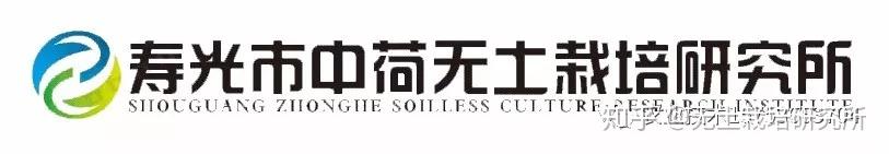 致富经种瓜_致富瓜果种植方法图片_种植瓜果致富方法