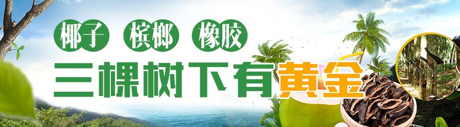 三棵树·橡胶篇 | 海南离不开橡胶林