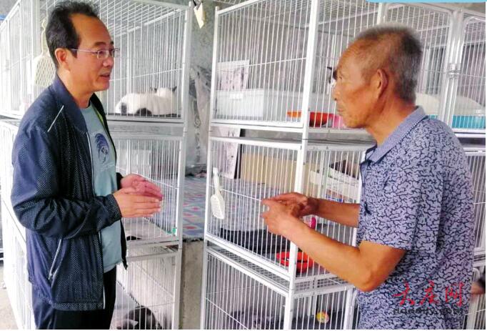 5000猫咪年入百万敲开致富门