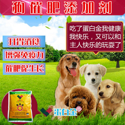 致富养殖什么最赚钱_宠物养殖 致富_致富项目养狗