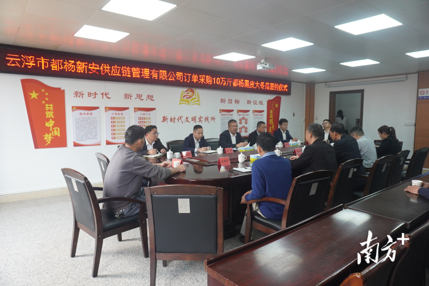 云安都杨10万斤黑皮大冬瓜成功被认购