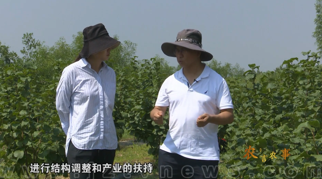 致富种植什么比较赚大钱_致富树的种植_种植致富业