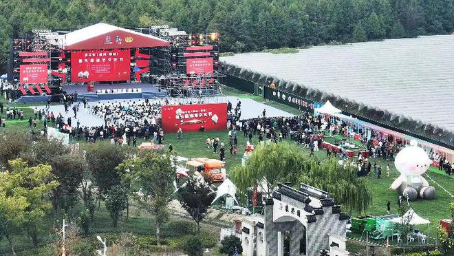 养殖100只湖羊成本和利润_湖羊养殖 增收致富_养湖羊赚钱吗