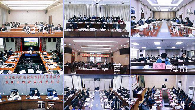养母猪要做好那些防疫程序_防止母猪养殖培训技术视频_养母猪主要预防些什么呢