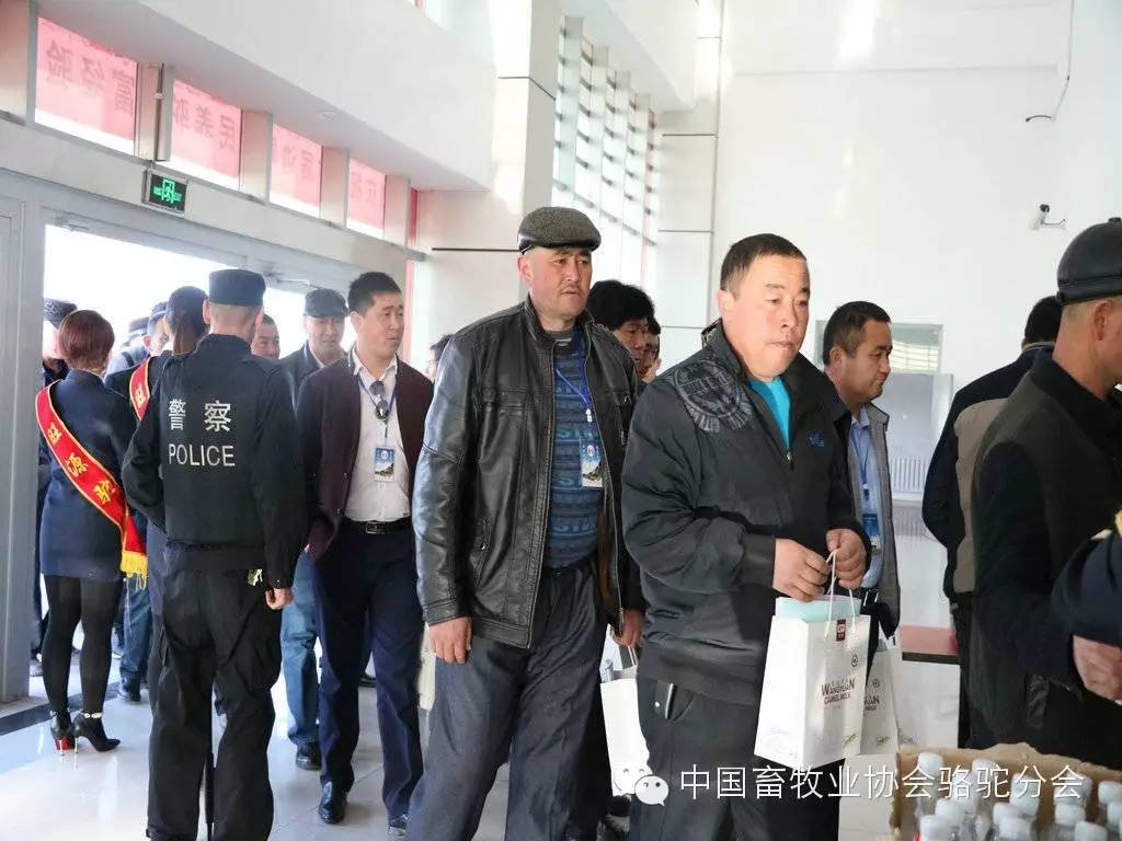 养殖致富经验_养殖致富经视频_致富养殖好项目大全