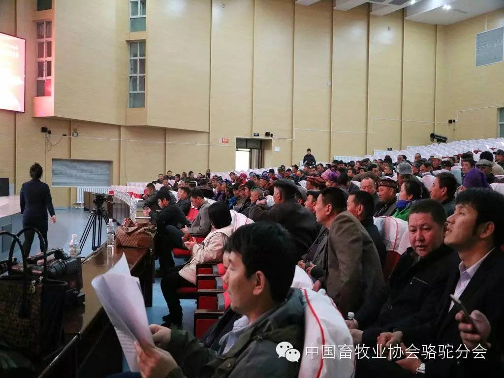养殖致富经验_致富养殖好项目大全_养殖致富经视频
