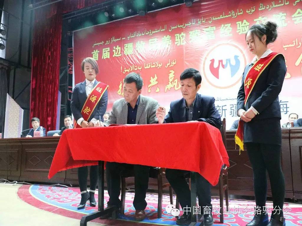 养殖致富经验_养殖致富经视频_致富养殖好项目大全