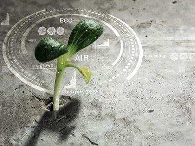 松鼠养殖肉技术与管理_松鼠养殖肉技术要求_肉松鼠的养殖技术